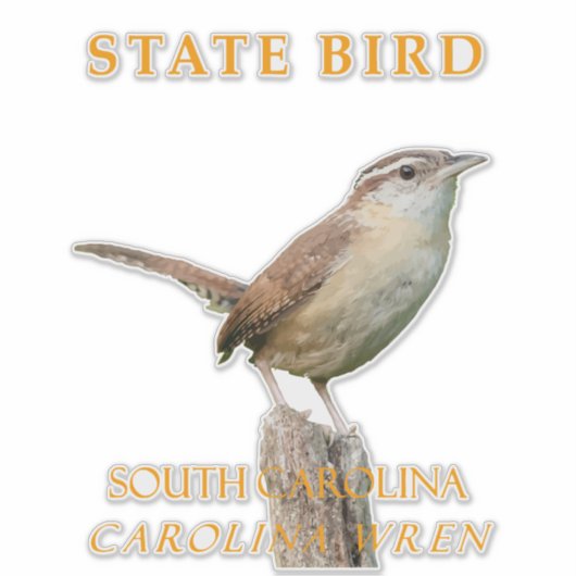 South Carolina Territory Vogel De Thryothorus Wren Sticker (Voorkant)