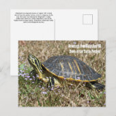 South Carolina Turtle Briefkaart (Voorkant / Achterkant)