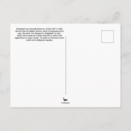 South Carolina Turtle Briefkaart (Achterkant)