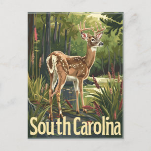 South Carolina witstaarthert Briefkaart