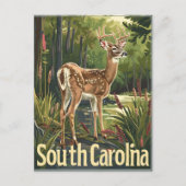 South Carolina witstaarthert Briefkaart (Voorkant)