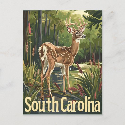 South Carolina witstaarthert Briefkaart (Voorkant)