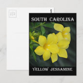 South Carolina Yellow Jessamine Briefkaart (Voorkant / Achterkant)