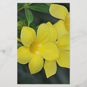 South Carolina Yellow Jessamine Briefpapier