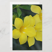 South Carolina Yellow Jessamine Briefpapier (Voorkant / Achterkant)