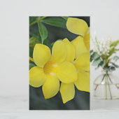 South Carolina Yellow Jessamine Briefpapier (Staand voorkant)