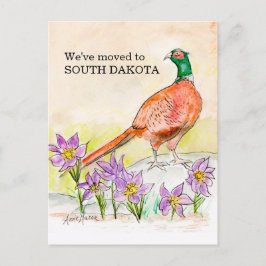 South Dakota Briefkaart