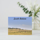 South Dakota Briefkaart (Staand voorkant)