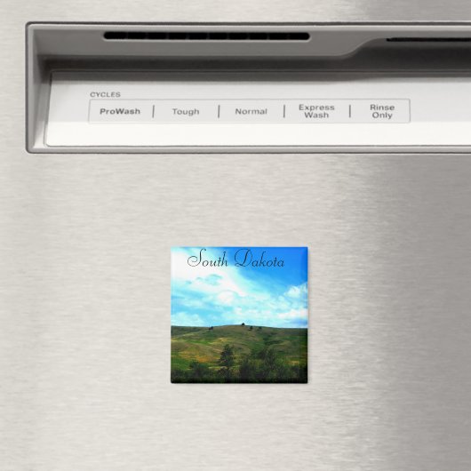 South Dakota magneet (Insitu (Vaatwasser))