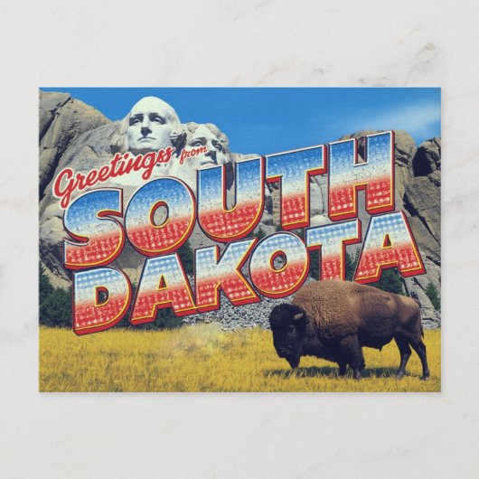 South Dakota Mount Rushmore Bison Briefkaart (Voorkant)