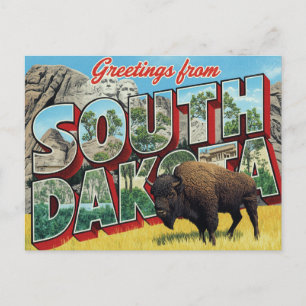 South Dakota Mount Rushmore Bizon Briefkaart