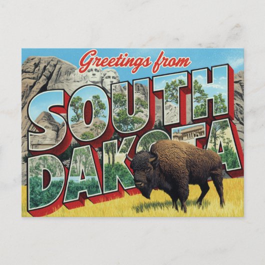 South Dakota Mount Rushmore Bizon Briefkaart (Voorkant)
