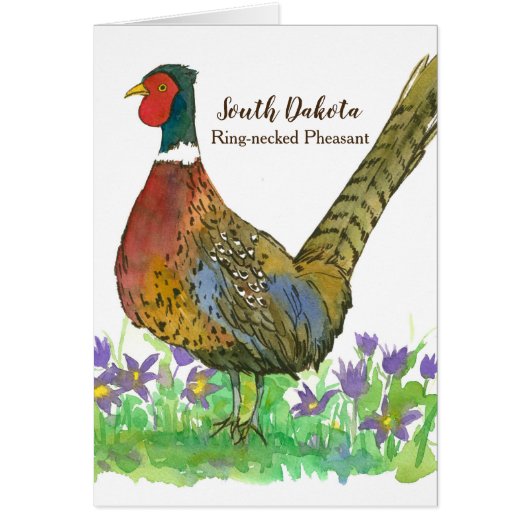 South Dakota Ring Necked Pheasant Blank (Voorkant)