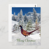 South Dakota Ring-Necked Pheasant Kerstmis Briefkaart (Voorkant / Achterkant)