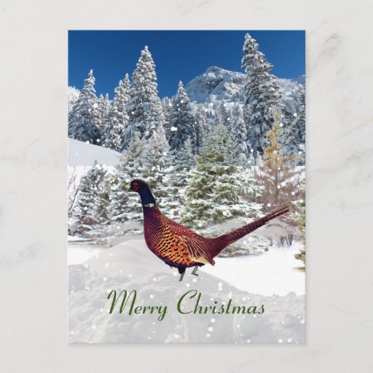 South Dakota Ring-Necked Pheasant Kerstmis Briefkaart (Voorkant)