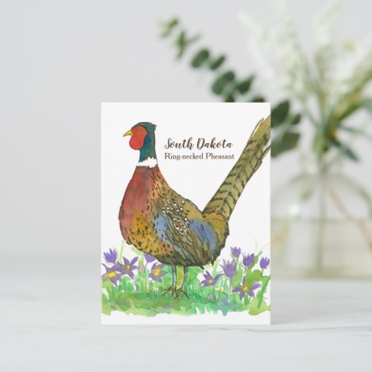 South Dakota Ring Necked Pheasant Pasque Flower Briefkaart (Staand voorkant)