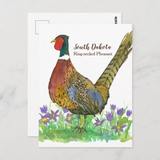 South Dakota Ring Necked Pheasant Pasque Flower Briefkaart (Voorkant / Achterkant)