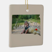 South Dakota State Photo insert and town name Keramisch Ornament (Rechts)