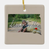 South Dakota State Photo insert and town name Keramisch Ornament (Voorkant)