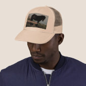 South Devon Dartmoor Pony Near Bench.3. Trucker Pet (In situ)