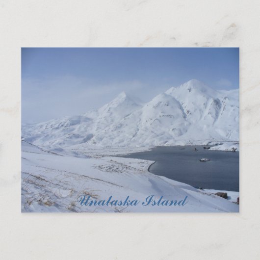 South End of Captain's Bay, Unalaska Island Briefkaart (Voorkant)