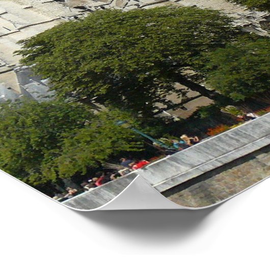 South Facade, Notre Dame Cathedral, Parijs, Frankr Poster (Hoek)