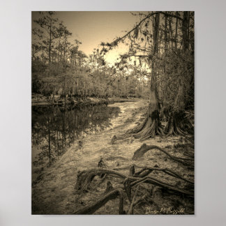 "South Florida Creek" Poster