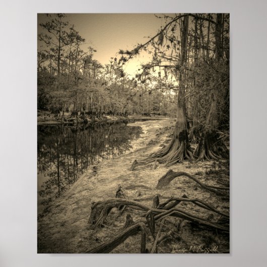 "South Florida Creek"  Poster (Voorkant)
