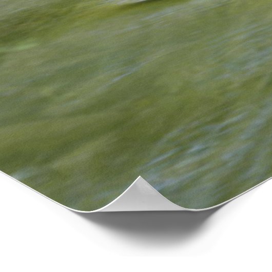 South Fork Wilson River Poster (Hoek)