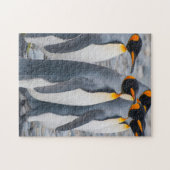 South Georgia. King Penguins Legpuzzel (Horizontaal)