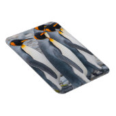 South Georgia. King Penguins Magneet (Rechterzijde)