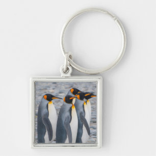 South Georgia. King Penguins Sleutelhanger