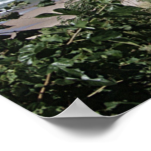 South Haven, Michigan Poster (Hoek)