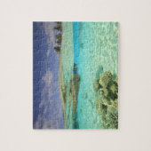 South Huvadhoo Atoll, Southern Maldives, Indian Legpuzzel (Verticaal)