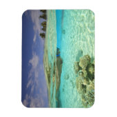 South Huvadhoo Atoll, Southern Maldives, Indian Magneet (Verticaal)