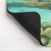 South Huvadhoo Atoll, Southern Maldives, Indian Muismat (Hoek)