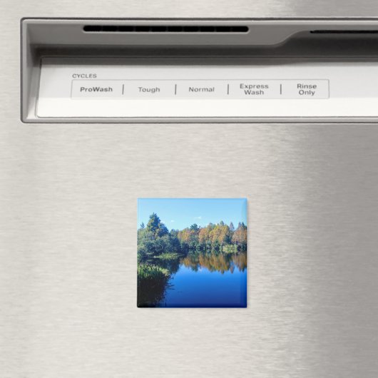 South Lake Howard Magneet (Insitu (Vaatwasser))