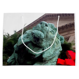 South Lion bij het Art Institute of Chicago Groot Cadeauzakje