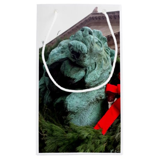 South Lion bij het Art Institute of Chicago Klein Cadeauzakje (Achterkant)