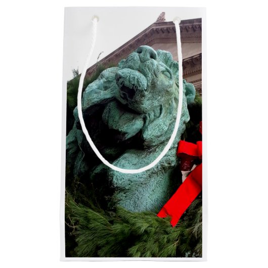 South Lion bij het Art Institute of Chicago Klein Cadeauzakje (Voorkant)