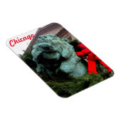 South Lion bij het Art Institute of Chicago Magneet (Rechterzijde)