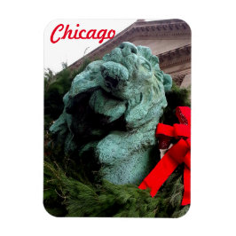 South Lion bij het Art Institute of Chicago Magneet