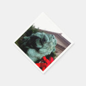 South Lion bij het Art Institute of Chicago Servet (Hoek)