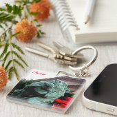 South Lion bij het Art Institute of Chicago Sleutelhanger (Voorkant Rechts)