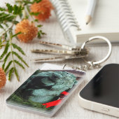 South Lion bij het Art Institute of Chicago Sleutelhanger (Voorkant Rechts)