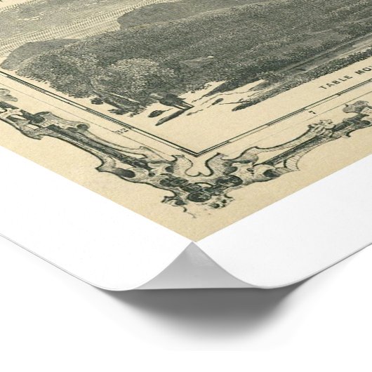 South & North Carolina Map 1861 Poster (Hoek)