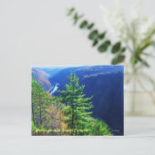 South Overlook, Pennsylvania Grand Canyon Briefkaart (Staand voorkant)