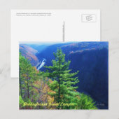 South Overlook, Pennsylvania Grand Canyon Briefkaart (Voorkant / Achterkant)