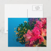 South Pacific, Fiji, Viti Levu, Bligh Water Briefkaart (Voorkant / Achterkant)