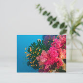 South Pacific, Fiji, Viti Levu, Bligh Water Briefkaart (Staand voorkant)